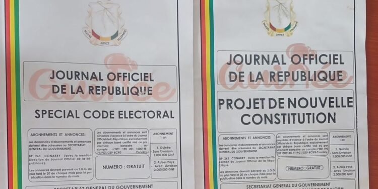 Une contradiction relevée entre le Code électoral et la nouvelle Constitution, deux textes issus du même CNT (avocat)