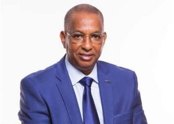 Ministère de l’Environnement : fin de mission pour Dr Diao Baldé